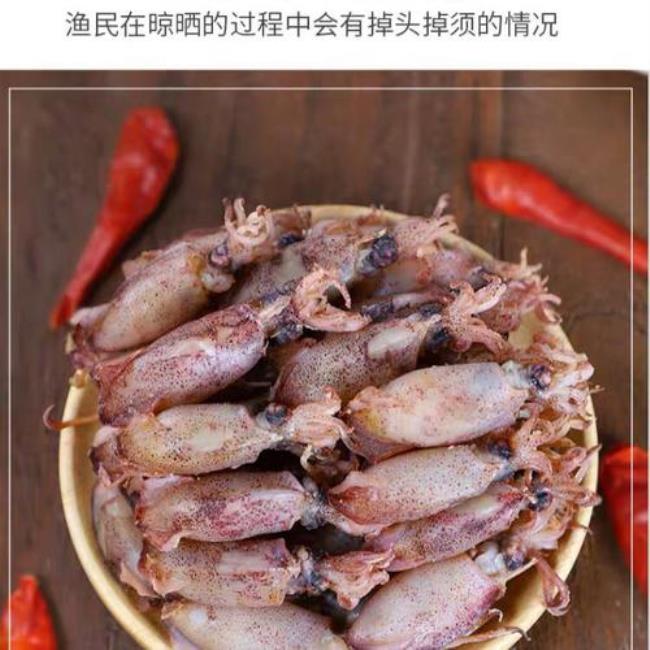 海兔与鱿鱼一样吗