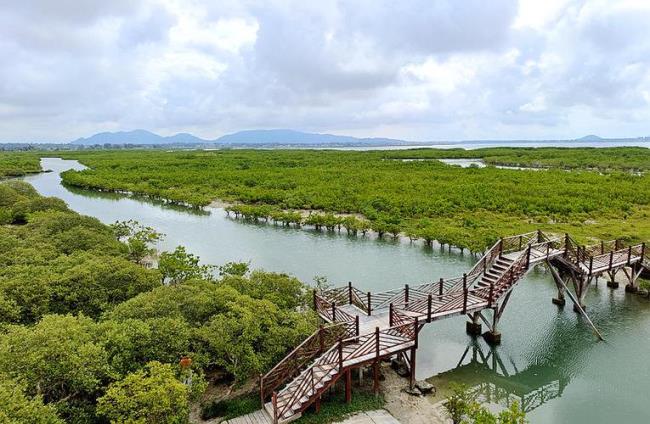 红树林湿地公园什么意思