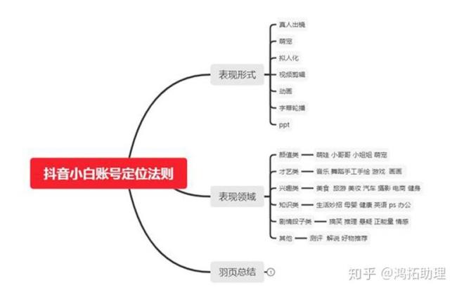 抖音主要有哪些业务类型