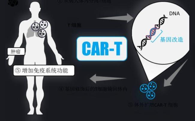 什么是cart细胞治疗技术