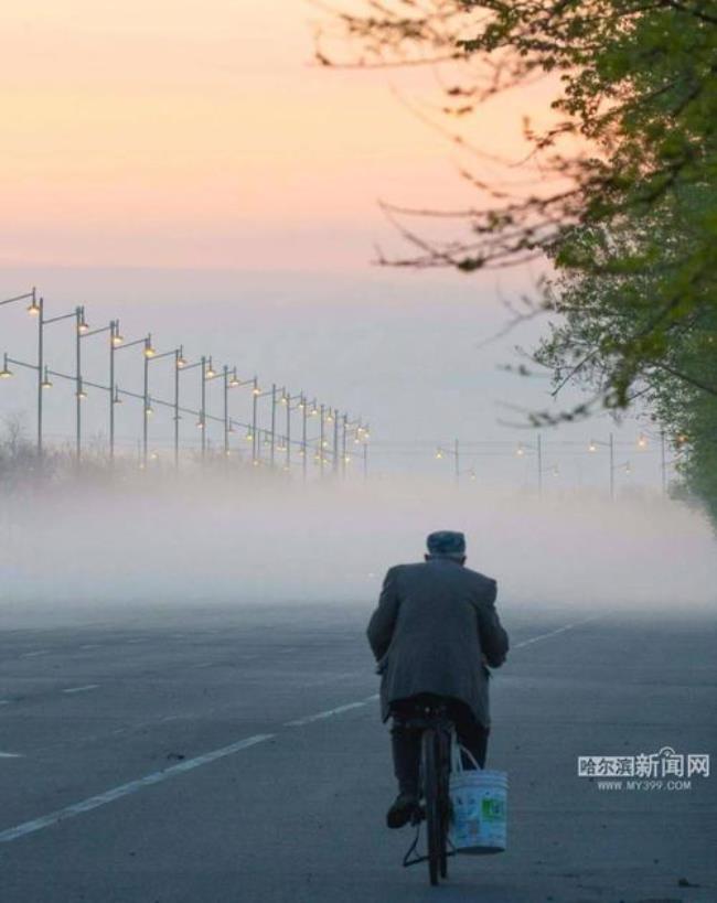 薄雾大概内容