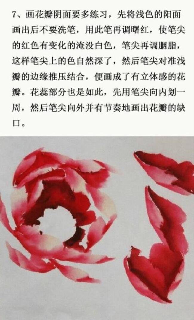 写意牡丹花的切瓣是什么意思