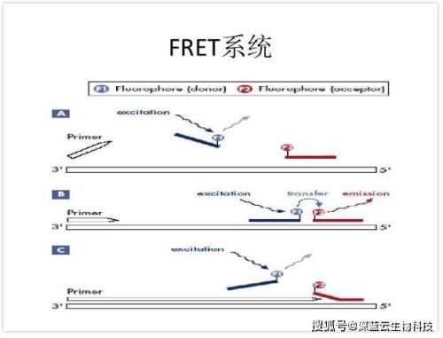 pci检测是什么