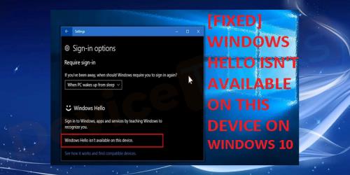 用windowshello登录不了