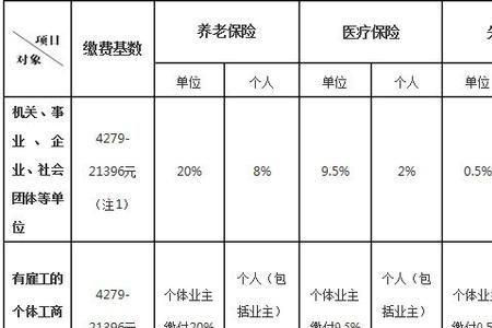 上海社保未满10年怎么交