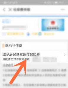 支付宝怎么查江苏社保明细