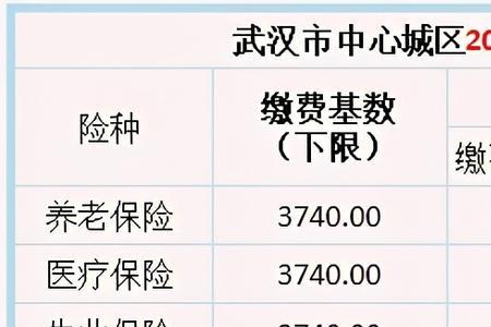 武汉市7月份社保怎么查不到