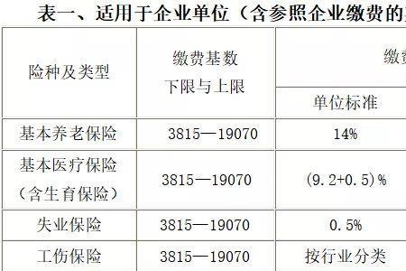 灵活就业缴费多少进入个人账户