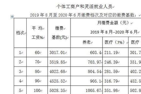 四川遂宁灵活就业人员社保缴费