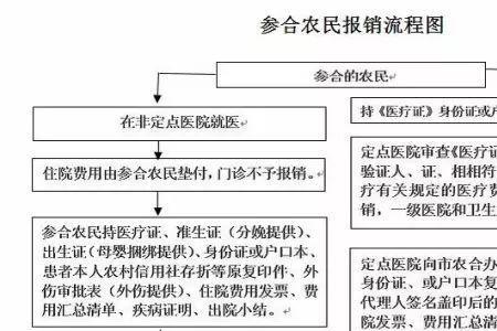 农村合作医疗在网上年审流程