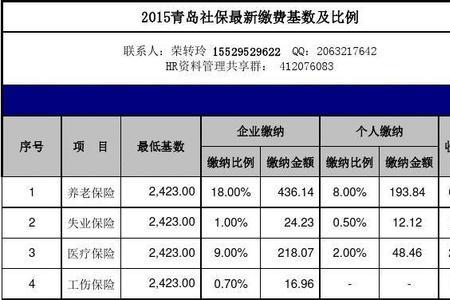 四川农村社保缴纳明细在哪查