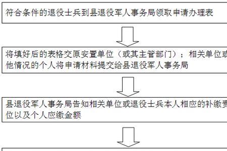 农村社保一次补缴网上办理流程