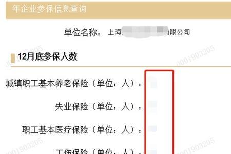 广东工商年报社保信息怎么填