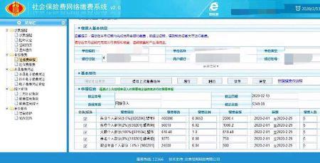 海南社保企业网上缴费流程