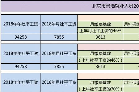 海南灵活就业人员社保缴费表