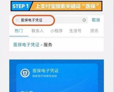 支付宝怎样下载电子医保卡
