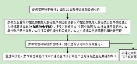 保定个人医保怎么参保