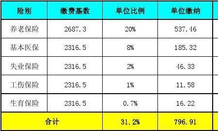 小学缴纳社保是什么意思