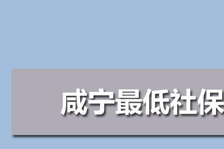 上海55岁补缴社保政策