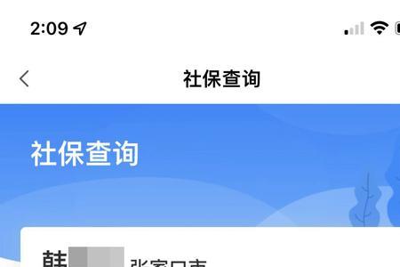 城乡居民交的300社保怎么查询