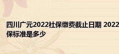 2022广元社保缴费标准