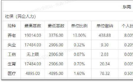 东莞社保个人灵活缴费档次