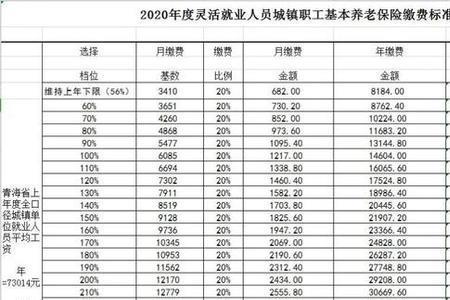 农村个人养老保险缴费明细