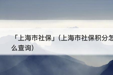 社保转移到上海多久能查到