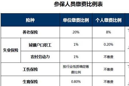 职工社保每月交1160是哪个等级