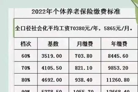 社保分几个档次缴费说明