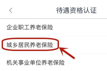 苹果手机微信里怎么查养老保险