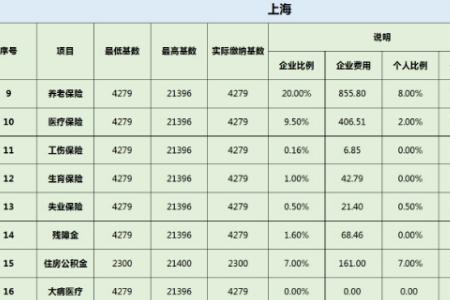 10年前在上海交社保能查到吗