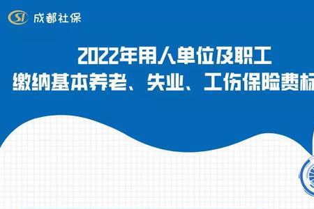 2022绵阳社保缴费标准表