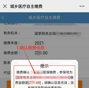 河北医保网上怎么缴费