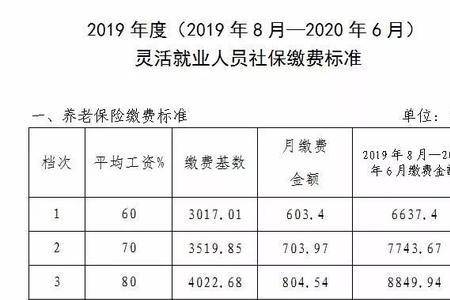 海南灵活就业社保缴费标准