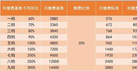 灵活就业社保每年交8000什么档