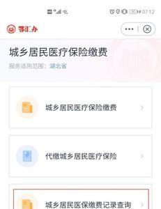 如何查自己的医保缴费记录