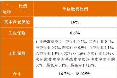 四川社保每年几月份开始缴费