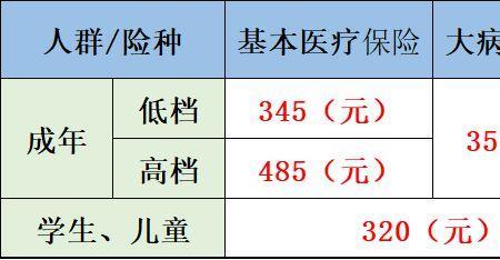 2022年个人医疗保险怎么交