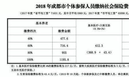 成都农村养老保险缴费