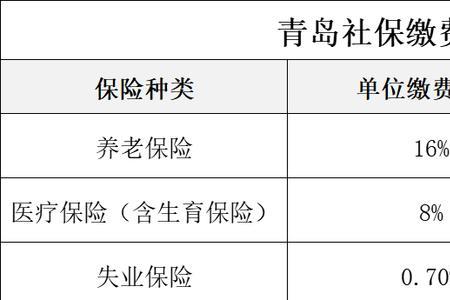 2022年天津市社保缴费标准