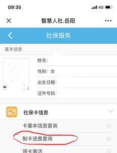 为什么查不到社保