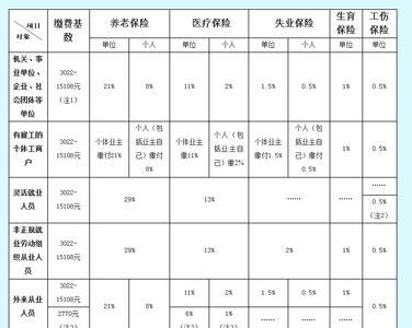 社保流水是不是社保缴费明细