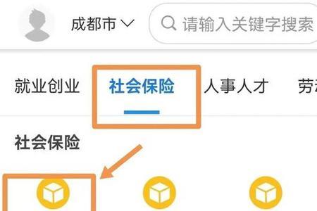 河北人社app查询不到社保记录