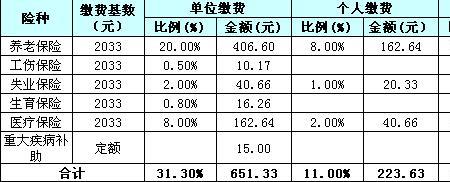 社保12月底交可以吗