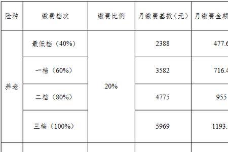 重庆农村社保交4000每月领多少