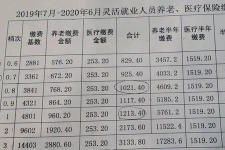 社保扣费后多久会更新