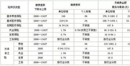 五险一金交几次可以查到