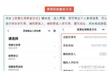手机交社保显示无参保信息