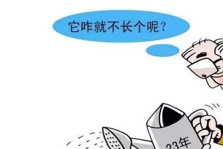 没有档案可以办退休吗